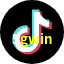 5gwin TikTok